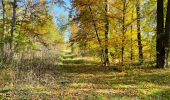 Tocht Stappen Compiègne - en forêt de Compiègne_43_le Petit Octogone et vers la Faisanderie - Photo 11