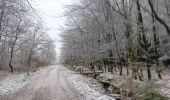 Tocht Stappen Spa - petit tour de la fagne - berinzenne - Photo 16