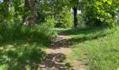 Trail Walking Le Quesnoy - Le Quesnoy 12,4 km - Photo 16