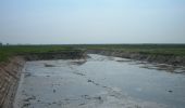 Tour Zu Fuß Hoeksche Waard - Gele wandelroute - Photo 2