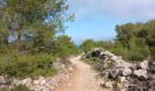 Tour Wandern Leucate - plateau de leucat sud-est sans grand route  - Photo 11