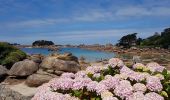 Excursión Senderismo Perros-Guirec - la côte de granit rose à Ploumanach - Photo 9