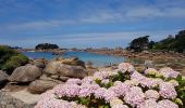 Randonnée Marche Perros-Guirec - la côte de granit rose à Ploumanach - Photo 9