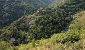 Tour Zu Fuß Bacharach - Rundwanderweg Esel (gelber Pfeil) - Photo 8