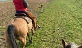 Trail Horseback riding Reherrey - Mardi 27 février 24 Tivio reherey  - Photo 6