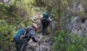 Randonnée Marche Ollioules - Les Grottes de Destel - Photo 8