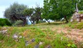 Percorso Marcia Cotignac - SityTrail - Notre Dame de Grace - Chapelle St Bernard - Monastere St Joseph - Chapelle St Martin - Le Poucet - Habitat troglodyte - Le village  - Photo 16