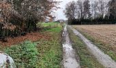 Trail Walking Glabbeek - Bunsbeek - Photo 19