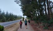 Trail Walking Portomarín - 2023 28 palas de rei - Photo 10