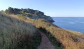 Trail Walking Saint-Gildas-de-Rhuys - pointe du grand Mont - Photo 15