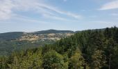 Excursión Senderismo Bellefosse - Col de la Charbonnière - château de la Roche - Bellefosse - Belmont - Photo 8