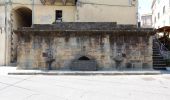 Percorso A piedi Scansano - Trekking della Villa Romana - Photo 4
