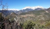 Trail Walking Châteauneuf-d'Oze - Crête de la Brunelle - Photo 3