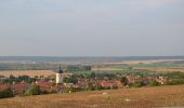 Randonnée A pied Roßleben-Wiehe - Galgenberg Rundweg Wiehe - Photo 1