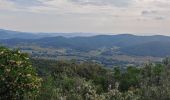 Tour Wandern Hyères - Les Borels 