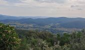 Excursión Senderismo Hyères - Les Borels 