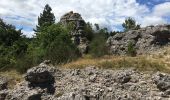 Randonnée Marche Les Plans - Forêt domaniale d'Escandorgue par Roqueredonde et l'Engayresque - Photo 7