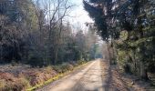 Trail Walking Spa - tour des 10 sources  - Photo 19