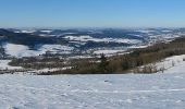 Tocht Te voet Ehrenberg - Seiferts Rundwanderweg 11 - Photo 1