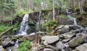 Excursión Senderismo Gérardmer - Gérardmer - cascade de Mérelle puis tour Mérelle - Photo 6