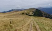 Tour Wandern Omblèze - Plateau d Ambel - Photo 8