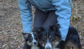 Trail Walking Gorze - GORZE 10KM  - Photo 1