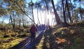 Percorso A piedi Fontainebleau - Boucle 28 km en forêt de Fontainebleau  - Photo 12