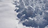 Randonnée Raquettes à neige Les Belleville - 73 - Vallée des Encombres - Photo 3