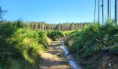 Trail Walking Trois-Ponts - logbierme 060824 - Photo 13