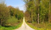 Trail Walking Longpont - en forêt de Retz_77_Longpont_Puiseux en Retz_AR - Photo 8