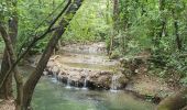 Randonnée Marche Méounes-lès-Montrieux - Le Gapeau vers Belgentier - Photo 1