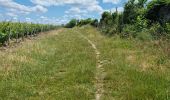 Randonnée Marche Reugny - Découverte de la commune de Reugny - Photo 10