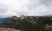 Tour Wandern Léoncel - La Pierre Chauve - Photo 3