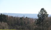 Tour Wandern Theux - 2022.02.28 Bios Jehanster 8km - Photo 10