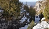 Tocht Stappen Châtelus - Le Pas des Voûtes - Le Pas de l'Allier - Photo 4