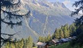 Trail Walking Chamonix-Mont-Blanc - 2024-05-29_17h56m49_Cirkwi-Randonne_de_l_Alpage_de_Blaitire - Photo 1