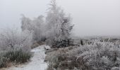 Tour Wandern Theux - dans le givre de Crambon  - Photo 3