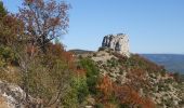 Randonnée Marche Plan-d'Aups-Sainte-Baume - La Tour Cauvin ,la grotte du Plan des vaches et les dents de Roque Forcade - Photo 1