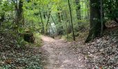 Trail Walking Eauze - GR 65 Eauze > Nogaro - Photo 4