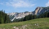 Excursión A pie Cortina d'Ampezzo - IT-8 - Photo 7
