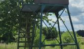 Excursión Senderismo Altstrimmig - A la découverte du pont de Geierlay - Photo 3