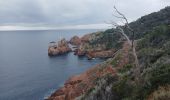 Trail Walking Saint-Raphaël - Le Dramont St Raphaël  - Photo 2