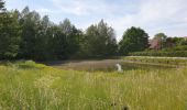 Excursión Bici eléctrica Ronse - Renaix -kat sauvage - Ellezelles - Photo 2