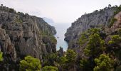 Trail On foot Cassis - FR-5 - Photo 8