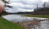 Tocht Stappen Tervuren - 2020-03-15 - Tervuren - Étangs de Vossem - Photo 3