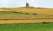 Randonnée A pied Saint-Georges-de-Gréhaigne - Découverte des polders - Photo 2