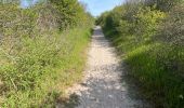 Trail Walking Le Crotoy - Balade au Crotoy  - Photo 1