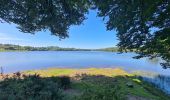 Excursión Senderismo Glomel - Tour de l'etang du Corong depuis Mézouët - Photo 20