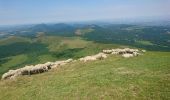 Excursión Senderismo Orcines - ascension puy de dôme départ col de ceyssat par chemin des muletiers 2019-07-03 - Photo 13