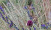 Tour Wandern Yvoir - Yvoir, boucle sur les roches, réserve de Champalle - Photo 14